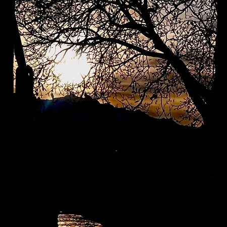 Alba *