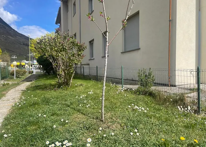 Alba * Tirano