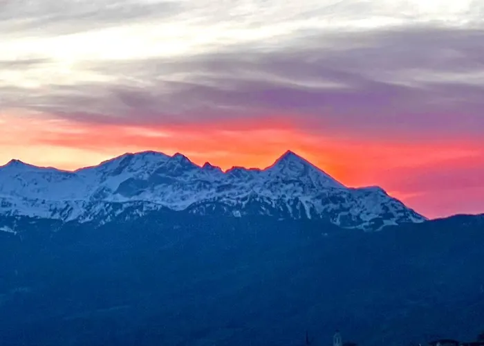Apartman Alba Tirano