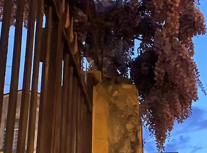 Alba Tirano