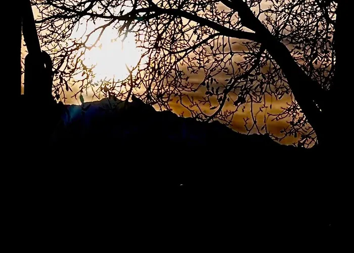 Alba *